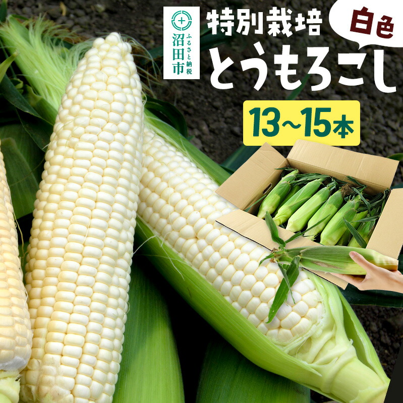 【ふるさと納税】《7月下旬～9月中旬発送》沼田市産 特別栽培のとうもろこし 13～15本 白色 ホイップコーンまたはロイシーコーン