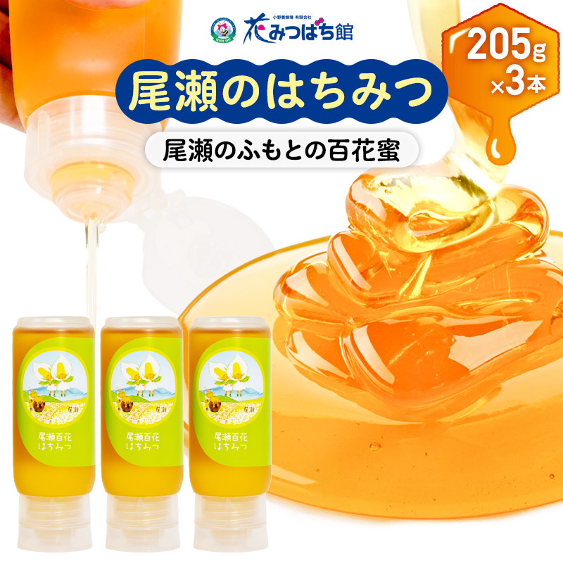 【ふるさと納税】尾瀬のはちみつ（百花）205g×3本セット 花みつばち館