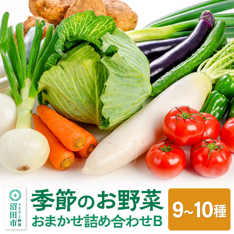 【ふるさと納税】季節のお野菜 おまかせセット B（9～10種類）詰め合わせ [【野菜セット】お任せ おまかせ 野菜 やさい ヤサイ 詰め合わせ セット]