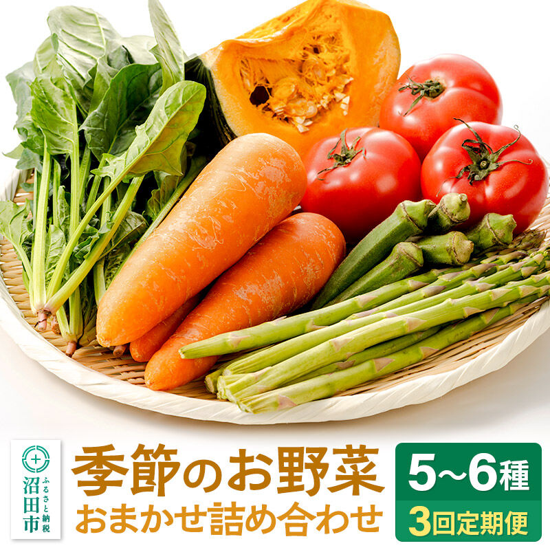 【ふるさと納税】季節のお野菜 おまかせセット 季節ごとの3回お届け 定期便（1回あたり5～6種類）詰め合わせ [【野菜の定期便】お任せ おまかせ 野菜 やさい ヤサイ 詰め合わせ セット]
