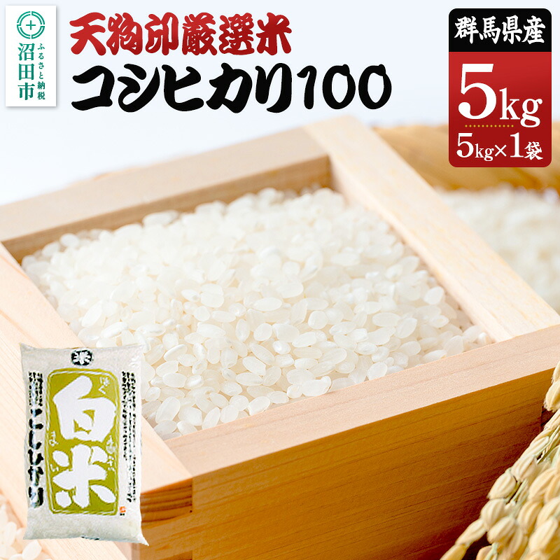 【ふるさと納税】令和7年産 天狗印厳選米「コシヒカリ100」5kg 精米 白米 こしひかり｜群馬県沼田市