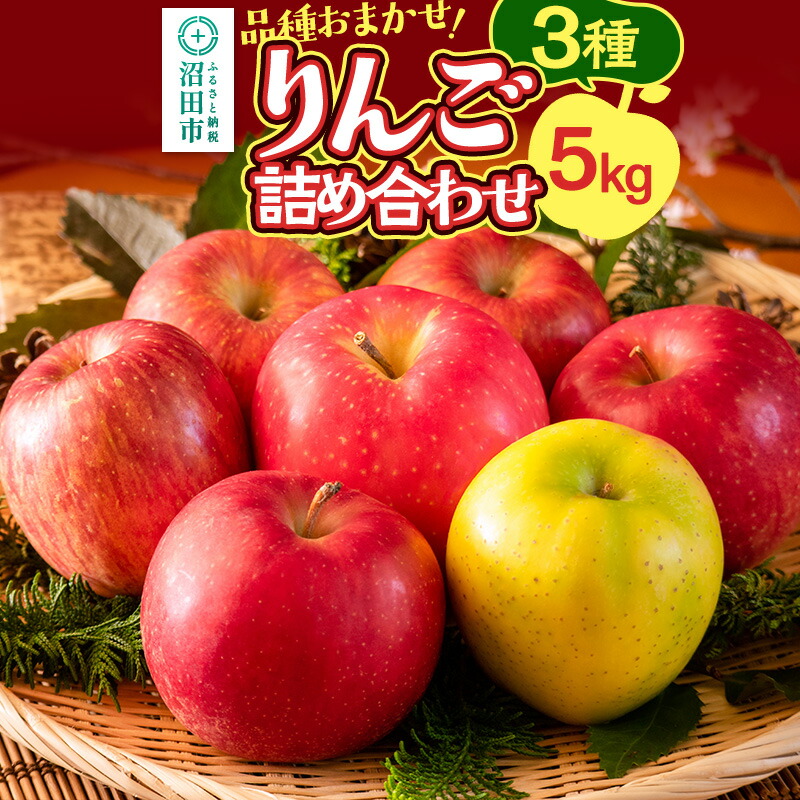 ふるさと納税 群馬県沼田市産 りんごの恵み詰め合わせ ふるさと納税群馬県沼田市産 りんごの恵み詰め合わせ