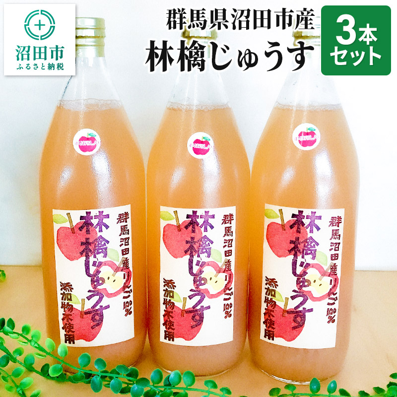 【ふるさと納税】群馬県沼田市産 林檎じゅうす1000ml（リンゴジュース）3本セット｜群馬県沼田市