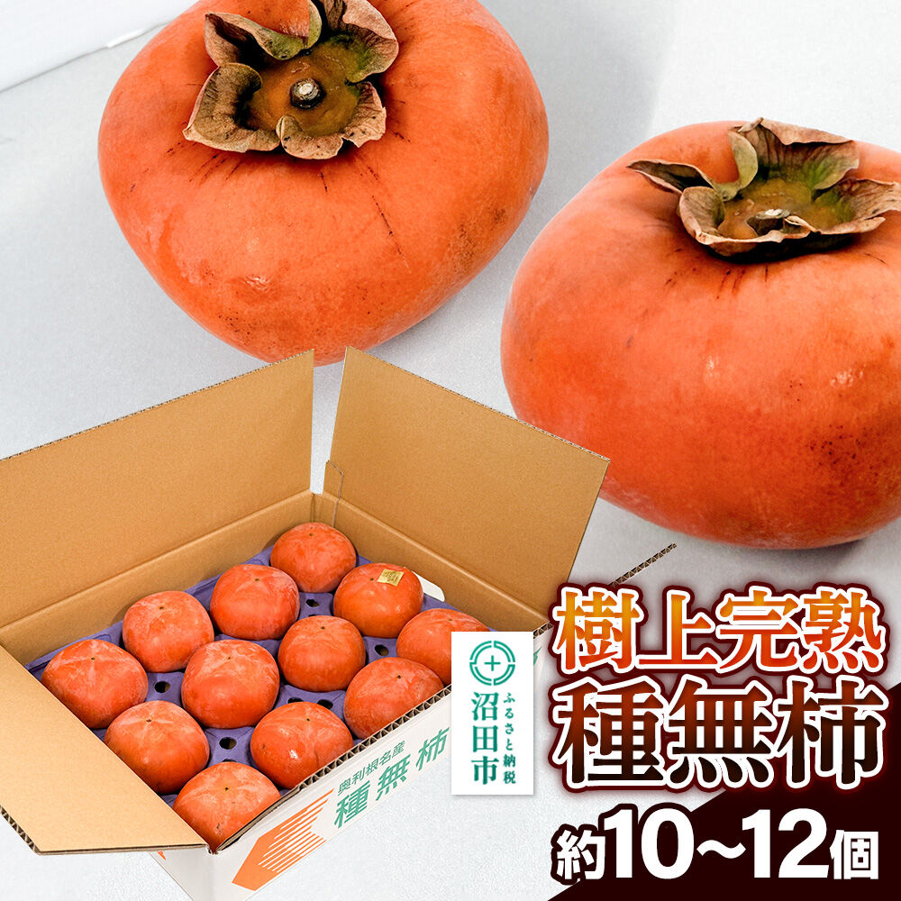 【ふるさと納税】樹上完熟種無柿 1箱（約10～12個） [柿 かき カキ 果物 フルーツ スイーツ 種無 種なし 完熟 地元で評判 群馬県 沼田市]｜群馬県沼田市
