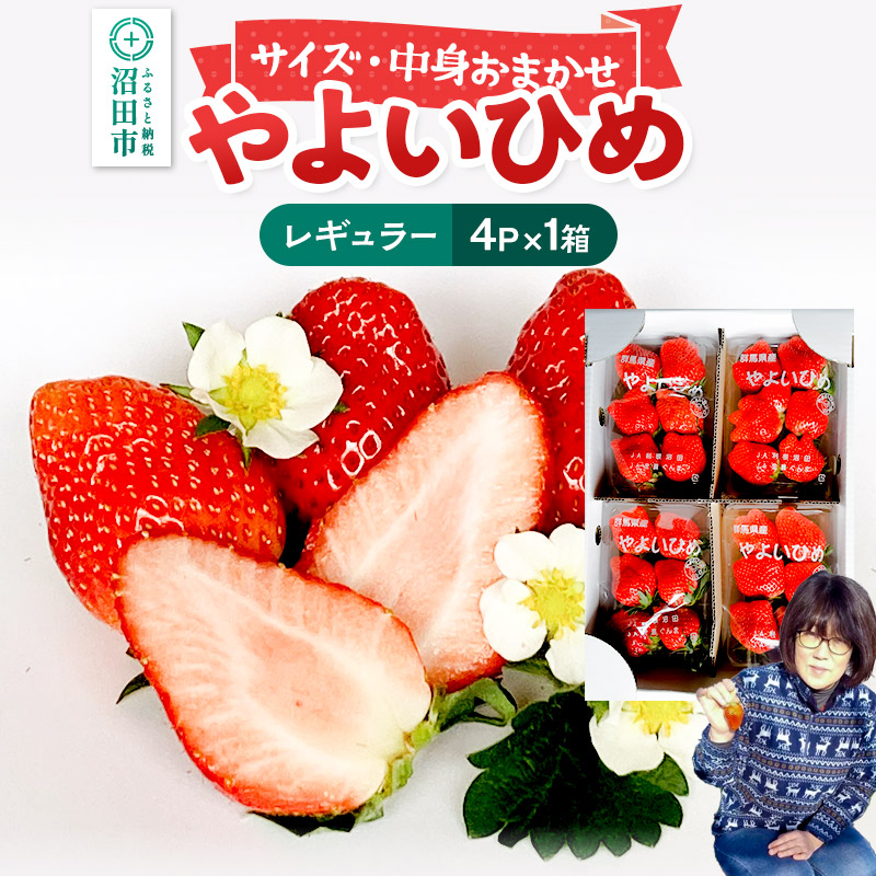 【ふるさと納税】中身おまかせ「やよいひめ」レギュラーパック 250g 4パック×1箱