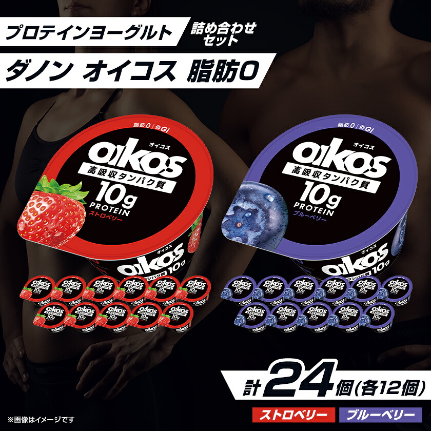 【ふるさと納税】ダノン オイコス 脂肪0 2種詰め合わせセット(ブルーベリー12個・ストロベリー12個)_ ヨーグルト ダノン オイコス メーカー セット ブルーベリー ストロベリー 人気 おすすめ 送料無料 贈答 ギフト 【配送不可地域:離島・沖縄県】【1565573】