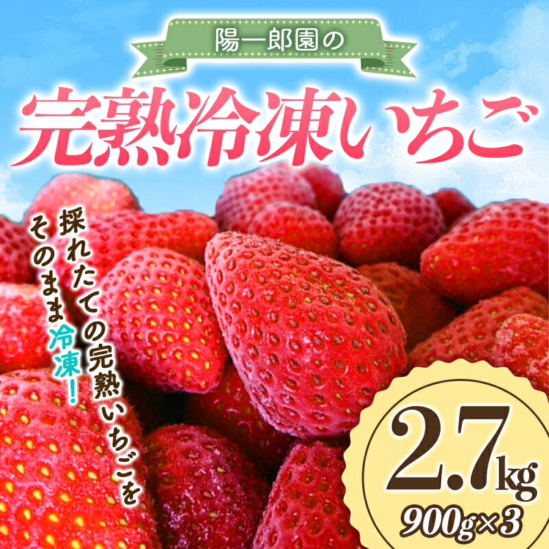 冷凍いちご　20キロ 冷凍いちご 20キロ 食品