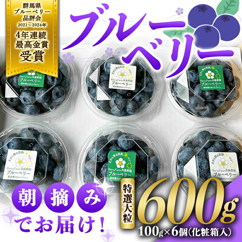 【ふるさと納税】 ブルーベリー特選大粒600g 朝摘みでお届け！【4年連続最高金賞受賞 群馬県ブルーベリー品評会2021~2024年】化学農薬不使用 除草剤不使用 フルーツ 果物 F4H-0038