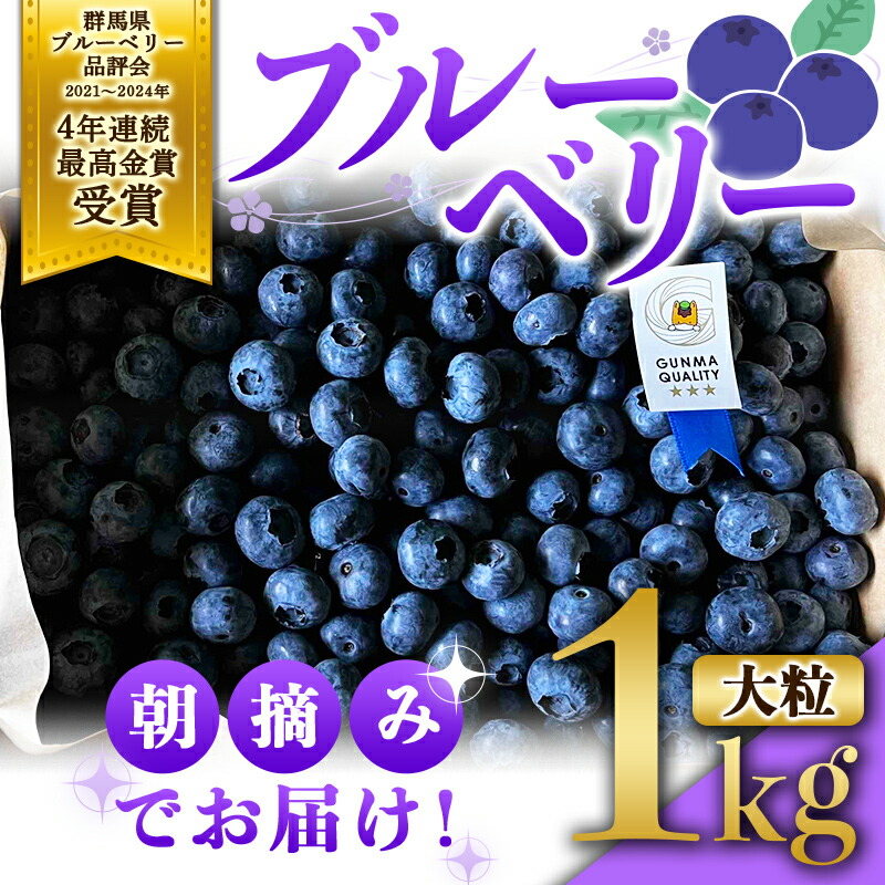 【ふるさと納税】 ブルーベリー大粒1kg 朝摘みでお届け！【4年連続最高金賞受賞 群馬県ブルーベリー品評会2021~2024年】 大粒 化学農薬不使用 除草剤不使用 フルーツ 果物 F4H-0039