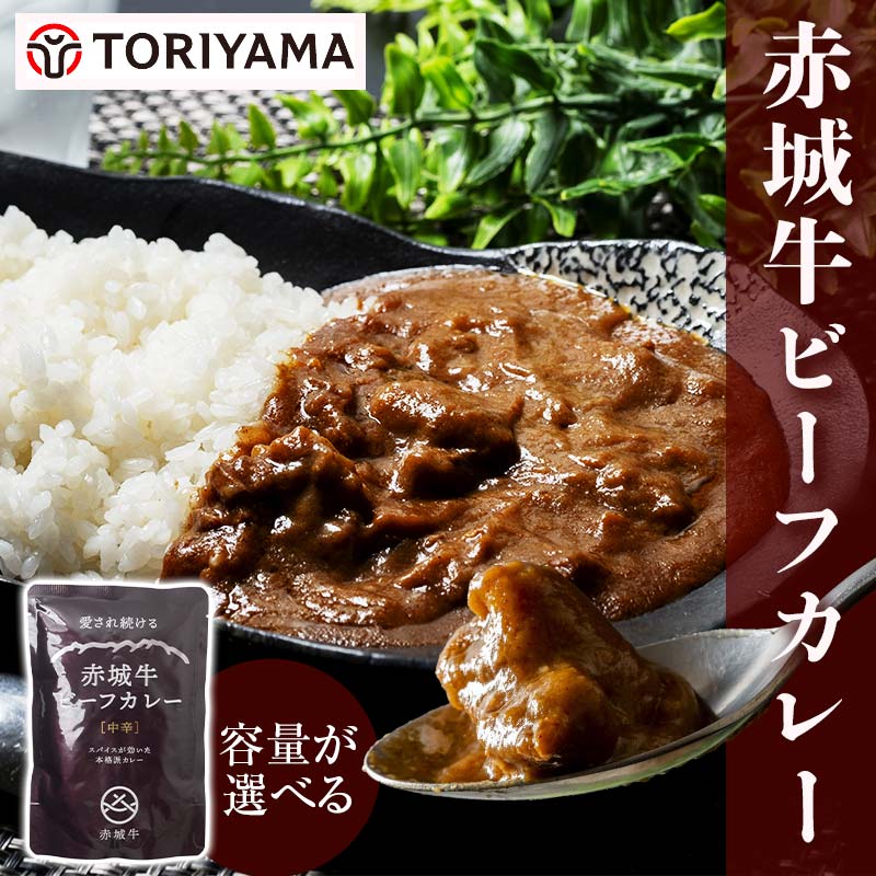 【ふるさと納税】赤城牛ビーフカレー 200g 中辛 容量が選べる レトルト食品  常温保存 詰め合わせ  一人暮らし F4H-0059var