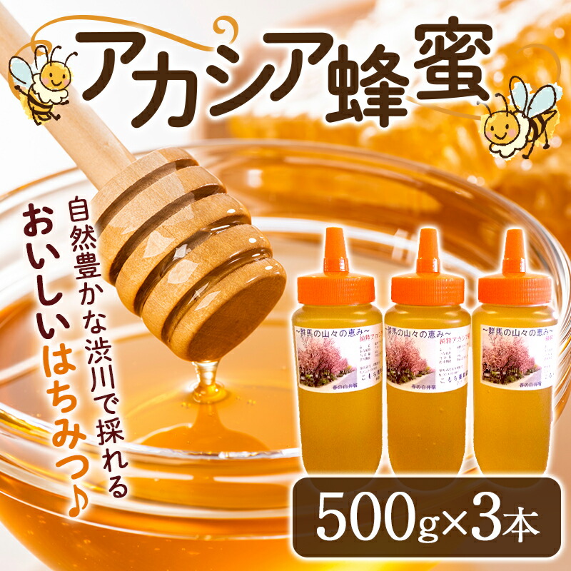 【ふるさと納税】蜂蜜（アカシア）500g×3本セット はちみつ ハチミツ ハニー あかしあ とんがり容器 国産 ふるさと 故郷 納税 群馬 渋川市  F4H-0070