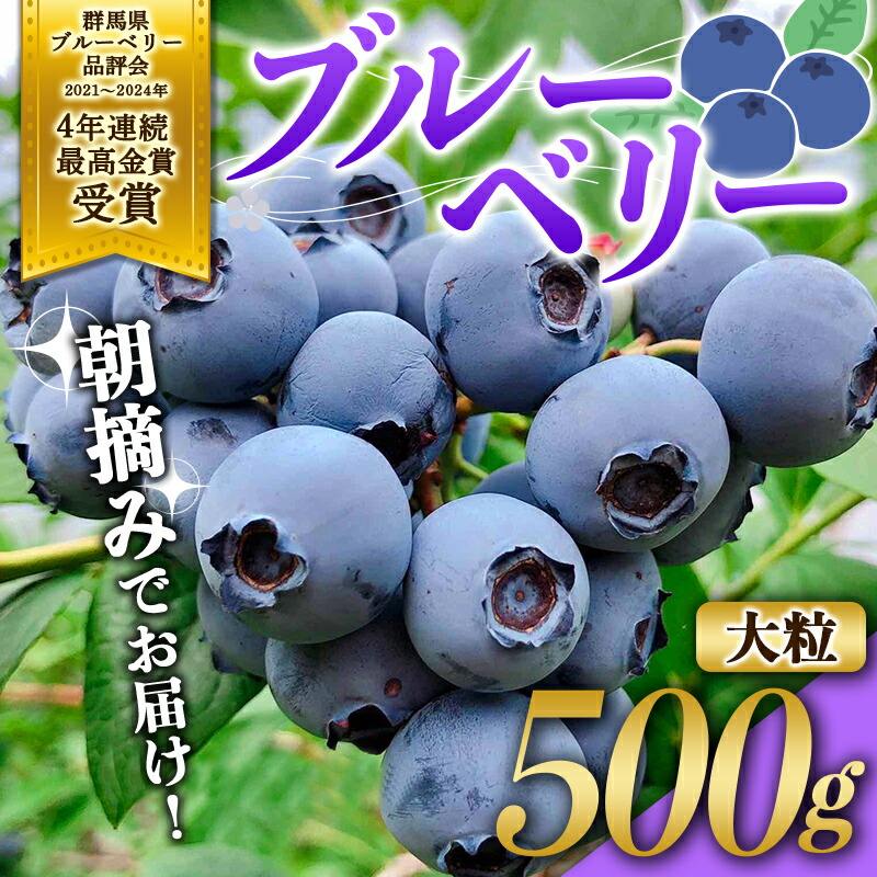 【ふるさと納税】 ブルーベリー大粒500g 朝摘みでお届け！【4年連続最高金賞受賞 群馬県ブルーベリー品評会2021~2024年】 大粒 化学農薬不使用 除草剤不使用 フルーツ 果物 F4H-0409