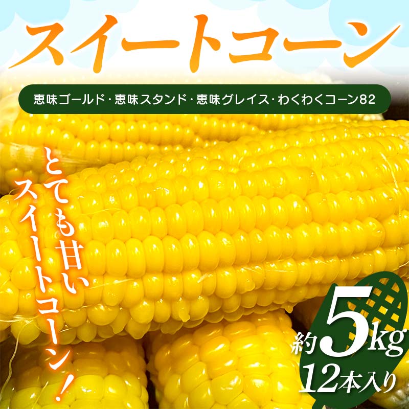 【ふるさと納税】 スイートコーン 約5kg（12本入り） とうもろこし トウモロコシ とうきび トウキビ コーン 野菜 食品 F4H-0520