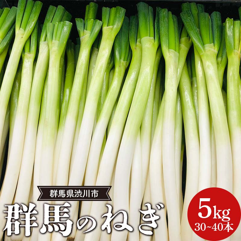 【ふるさと納税】 群馬のねぎ 5kg(30~40本) 群馬県 渋川市 F4H-0542