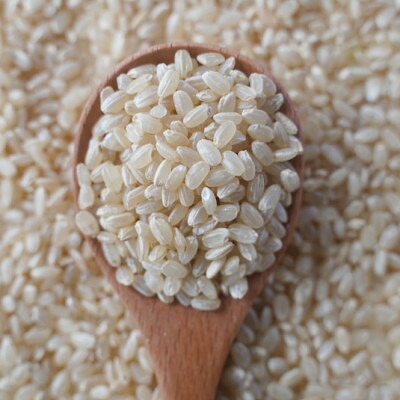 【ふるさと納税】有機こしひかり【玄米】500g&times;12袋(令和7年産)【1709189】｜群馬県藤岡市