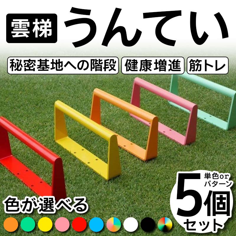【ふるさと納税】雲梯（うんてい）5個セット 色が選べる 雲梯 ウンテイ 健康 健康増進 ダイエット 筋トレ 屋根裏や秘密基地への階段 F21E-257 57,000円