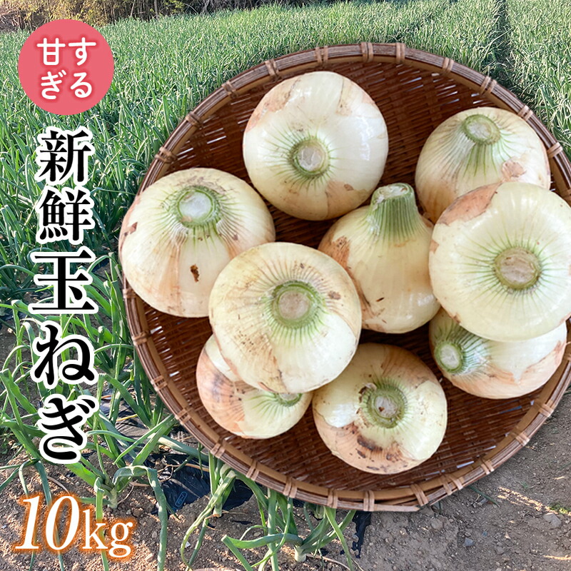 【ふるさと納税】＜2025年発送 先行予約＞甘すぎる新鮮玉ねぎ 10kg 減農薬減 化学肥料 生食 たまねぎ 玉ねぎ タマネギ 野菜 食品 F20E-681var