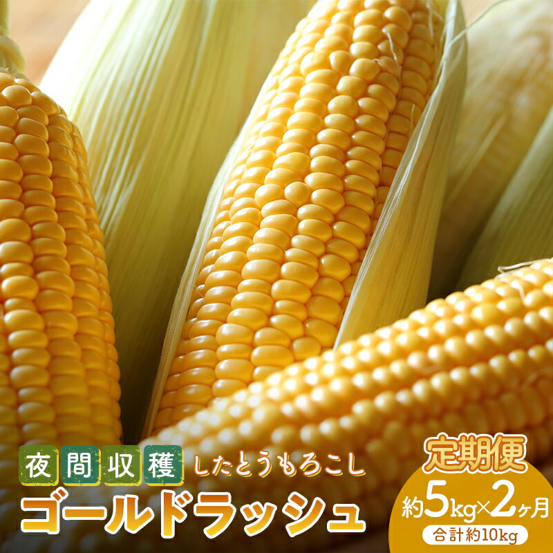 【ふるさと納税】 ＜2026年先行予約＞【定期便】夜間収穫したとうもろこし ゴールドラッシュ (各約5kg)《2ヶ月連続》 2L トウモロコシ とうもろこし コーン ゴールドラッシュ 定期便 野菜 食品 F21E-068 11,360円