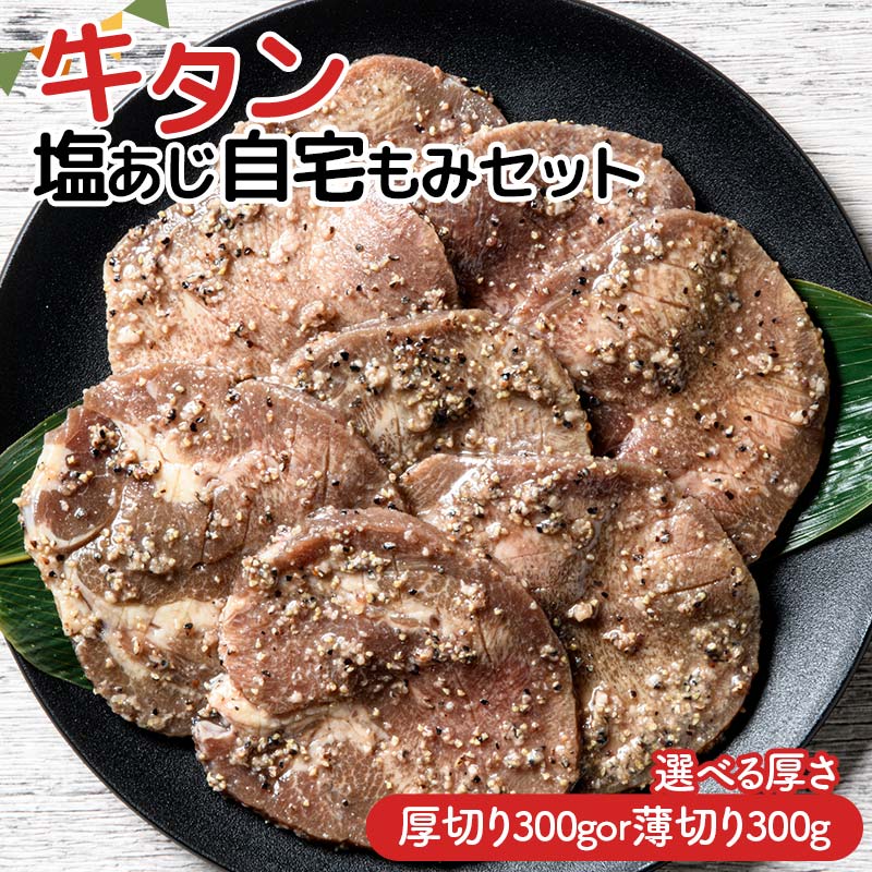 牛タン塩 味付け肉専門店のねぎ塩牛タン 300g×2p 計600g(日向市) | 宮崎県日向市