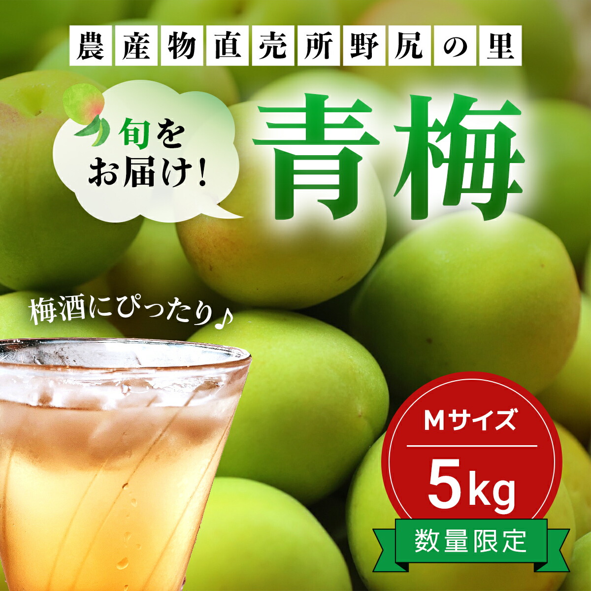 【ふるさと納税】【2025年発送分先行予約】旬をお届け！青梅【Mサイズ５kg】 ANAR017