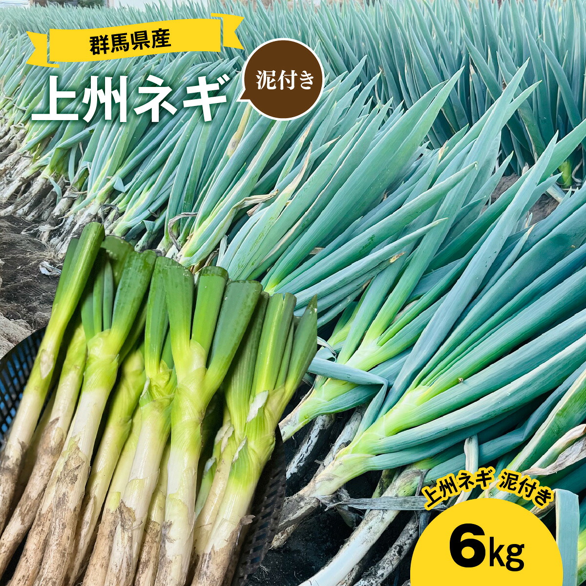 【ふるさと納税】【先行予約】群馬県産 上州ネギ 泥付き6kg ANBQ001｜群馬県安中市