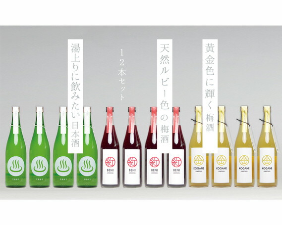 日本未発売 返礼品 日本酒 ふるさと納税 12本セット 群馬県安中市ふるさと納税 お酒 梅酒 群馬県日本酒 焼酎 日本酒 セット 梅酒 Kogane Beni 日本酒 温泉マーク1661 7ml No 192 群馬県 群馬県安中市