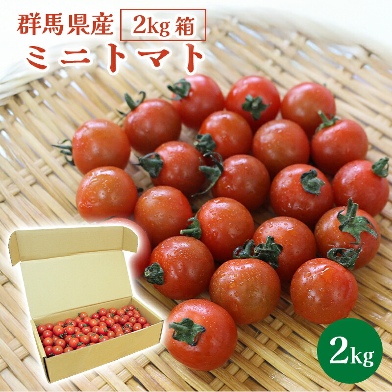 みにとまと 楽天市場】【ふるさと納税】野菜 じゅわっと極旨のフルーツミディ