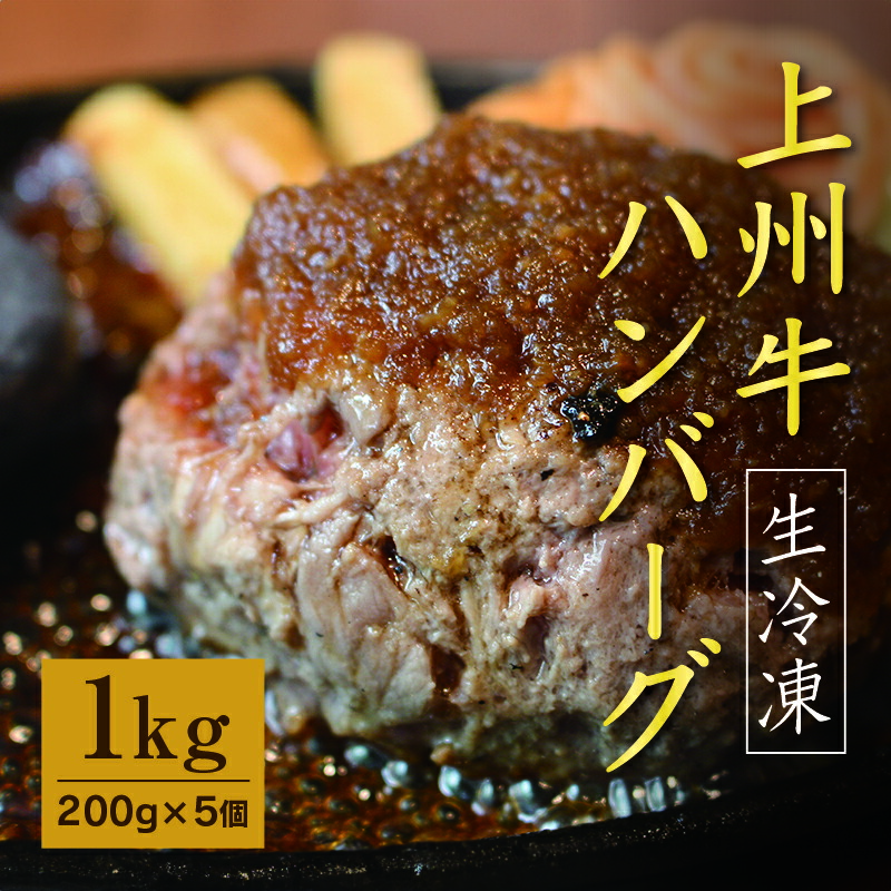 【ふるさと納税】【193】生冷凍 上州牛ハンバーグ 1kg（200g×5個）