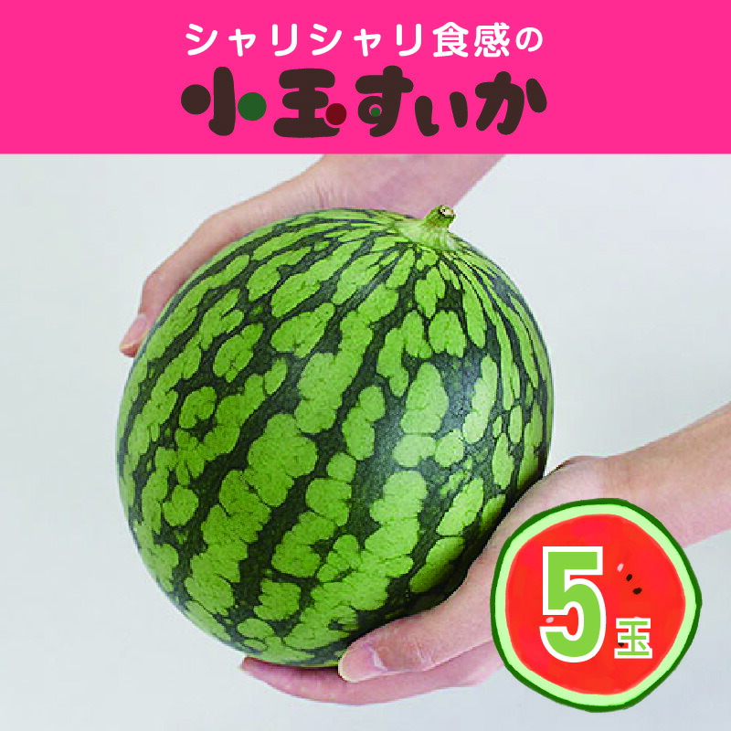 【ふるさと納税】【102】シャリシャリ食感の小玉すいか5玉 [商品発送:３～４月頃]｜群馬県みどり市
