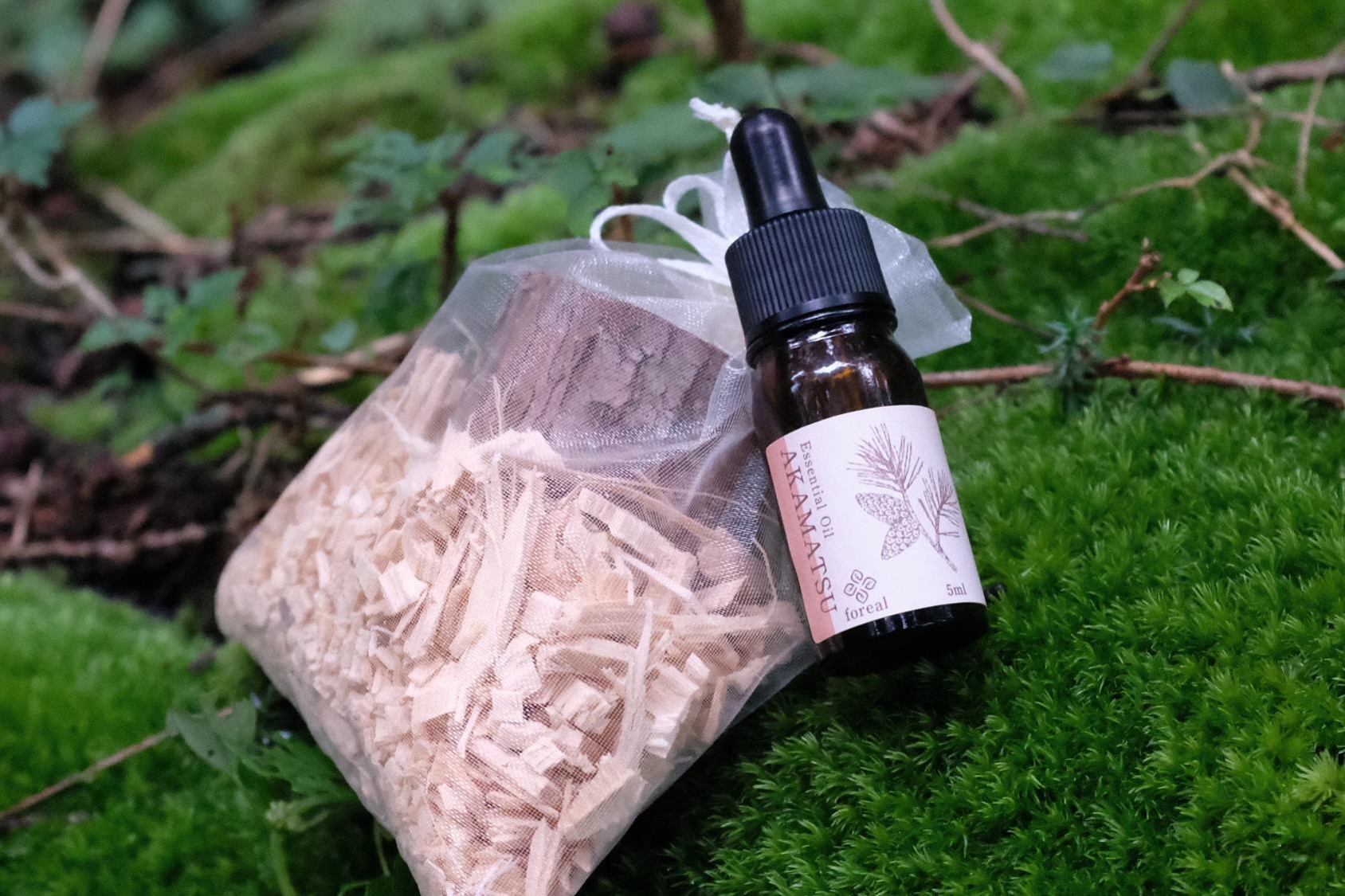 楽天市場】【ふるさと納税】 山本翠松 蛤香合十二ヵ月（ふた月分