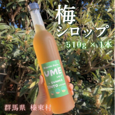 【ふるさと納税】梅シロップ 510ml×1本【1705090】