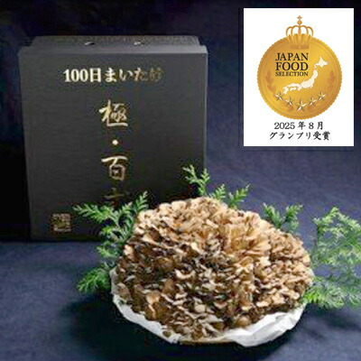 【楽天市場】【ふるさと納税】100日まいたけ 極百式 2キロ以上の1株づくり【配送不可地域：離島】【1267419】：群馬県吉岡町