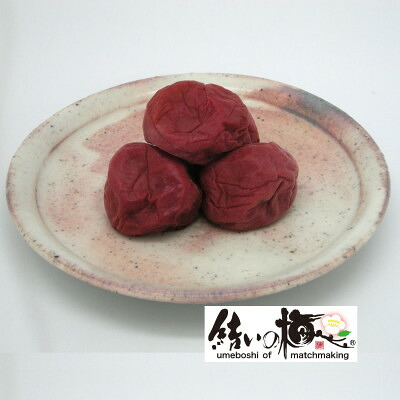 【ふるさと納税】【のし付き】結いの梅「あかぼし」500g(箱入り)【配送不可地域：離島・沖縄県】【1452940】｜群馬県吉岡町