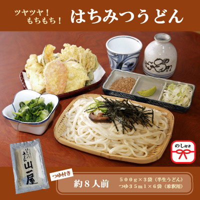 【ふるさと納税】【のし付き】はちみつうどん500g&times;3袋 約8人前(半生うどん)【配送不可地域：離島・沖縄県】【1430845】｜群馬県吉岡町