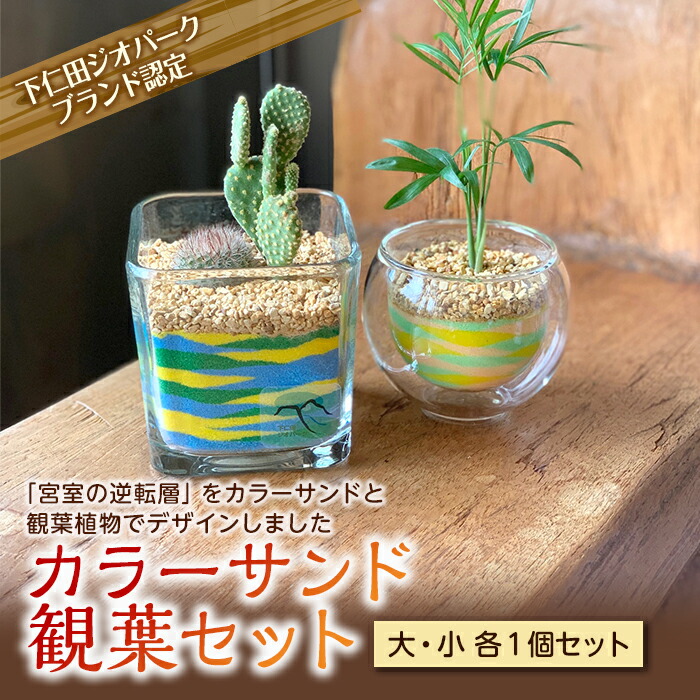 【ふるさと納税】「下仁田ジオパークブランド」認定 カラーサンド観葉セット 観葉植物 セット 宮室の逆転層 手作り 一点物 インテリア 贈り物 ギフト F21K-177
