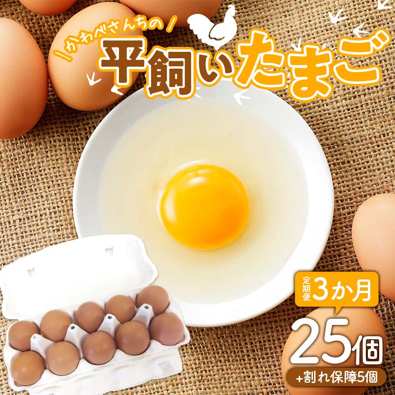 【ふるさと納税】 【定期便3か月】かわべさんちの平飼いたまご 25個（プラス割れ保障 5個） 計30個×3か月 計90個 卵 玉子 たまご 生卵 F21K-461