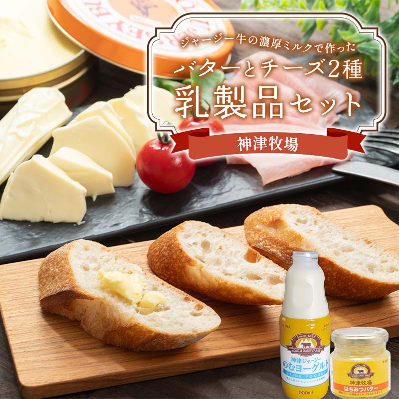 【ふるさと納税】【神津牧場】神津牧場バターとチーズ2種 ジャージー牛の濃厚ミルクで作った乳製品セット≪発酵バター・のむヨーグルト・チーズ2種（モッツァレラ・ストリング）・はちみつバター≫詰合せ F21K-494