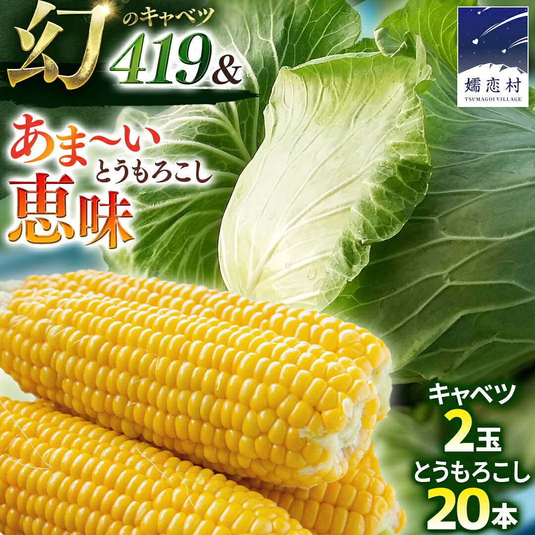 【ふるさと納税】＜ 8月上旬 発送開始 ＞ 朝採り野菜 人気2種セット まぼろしの419キャベツ 2玉 と 甘～いトウモロコシ 恵味 20本 とうもろこし きゃべつ キャベツ トウモロコシ 嬬恋村産キャベツ 幻のキャベツ419 産地直送 羽生田売店 期間限定 人気 朝採り お取り寄せ 関東 19,980円