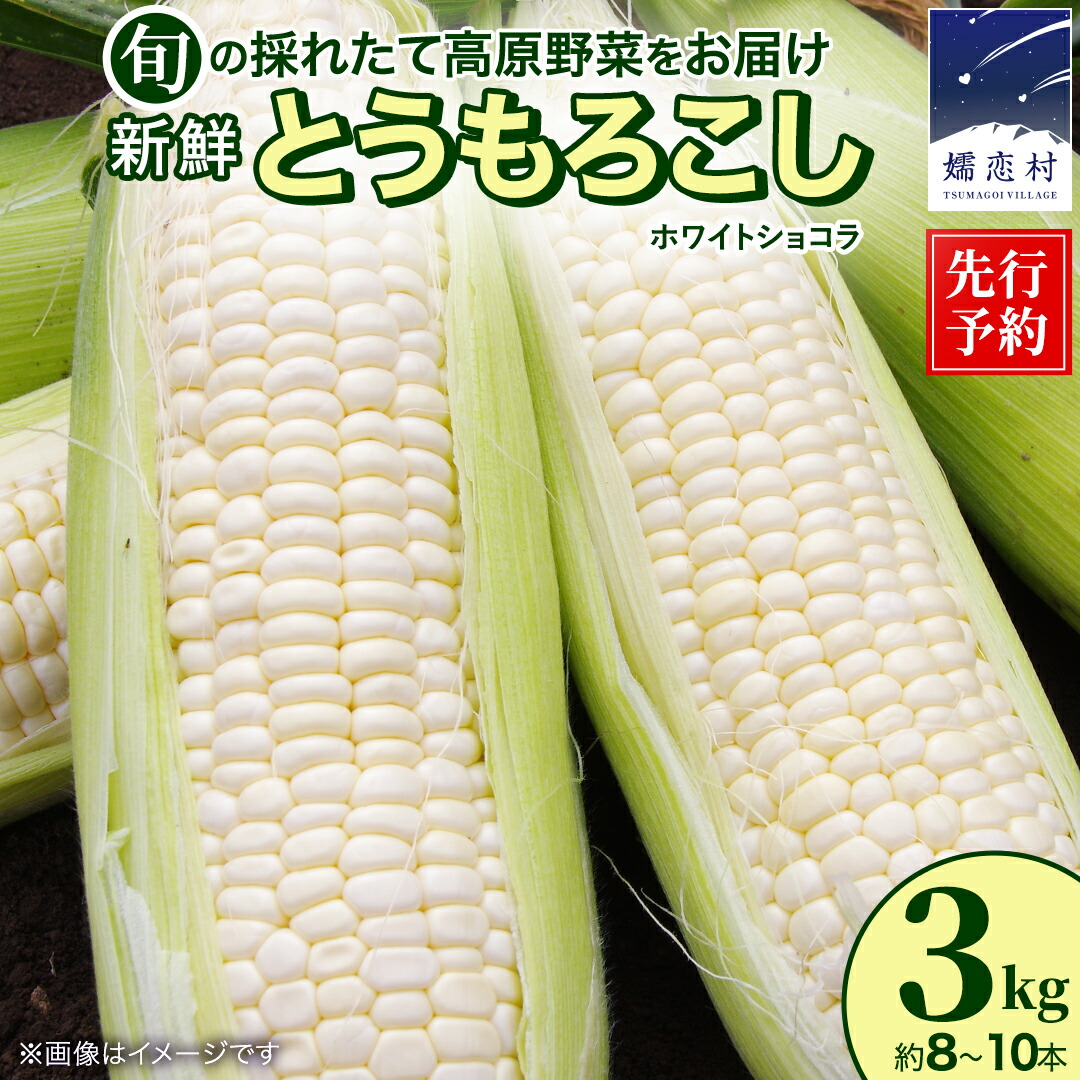 【ふるさと納税】【8月下旬発送開始】とうもろこし ホワイトショコラ 3kg（8～10本）野菜 旬の野菜 大粒 夏野菜 嬬恋村 高原野菜 先行予約｜群馬県嬬恋村
