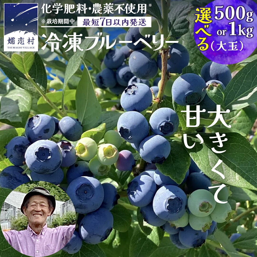 楽天市場】【ふるさと納税】 ブルーベリー 大粒 600g ( 100g × 6パック