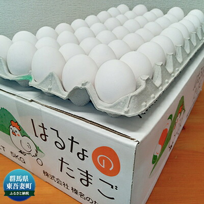 【ふるさと納税】特選　はるなのたまご　5kg（Mサイズ 90個入り） 鶏卵 食材 万能 タンパク質 朝採れの 新鮮たまご 厳選 特選卵 卵料理 卵焼き オムレツ プリン 茶碗蒸し 卵かけごはん TKG 目玉焼き