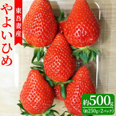 【ふるさと納税】【東吾妻町産】いちご やよいひめ 約250g×2パック 果物 ストロベリー フルーツ デザート 甘味が強い 酸味まろやか 国産 直送 産地直送 おやつ 口当たりが良い 　お届け：2026年4月20日まで