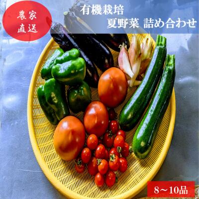 【ふるさと納税】有機栽培 夏野菜 8～10品 詰め合わせ 群馬県産 東吾妻 有機JAS 認証取得 野菜セット 旬の野菜 夏野菜セット 食材 国産 お楽しみ 食品セット 食卓 　お届け：2026年8月中旬～2026年9月下旬まで｜群馬県東吾妻町