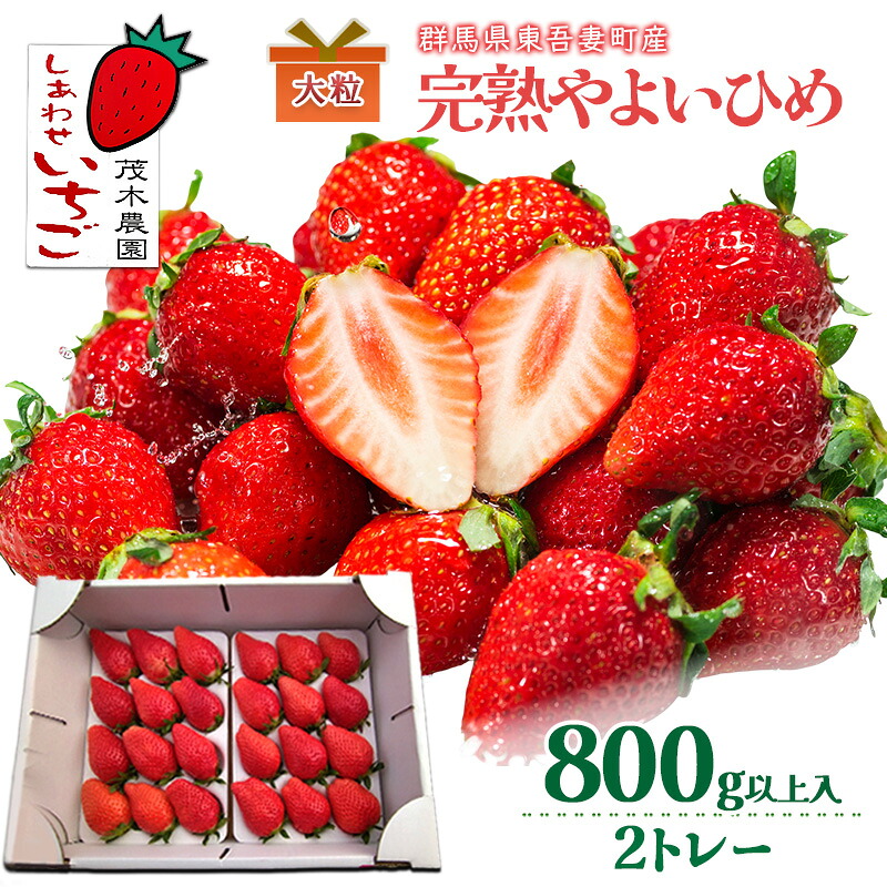 【ふるさと納税】【贈答用】やよいひめ 2トレー(800g以上) いちご ストロベリー 果物 くだもの フルーツ ギフト プレゼント 群馬県 東吾妻町 お届け:2026年4月末まで