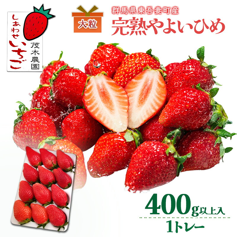 【ふるさと納税】【贈答用】やよいひめ 1トレー（400g以上） いちご ストロベリー 果物 くだもの フルーツ ギフト プレゼント 群馬県 東吾妻町　お届け：2026年4月末まで