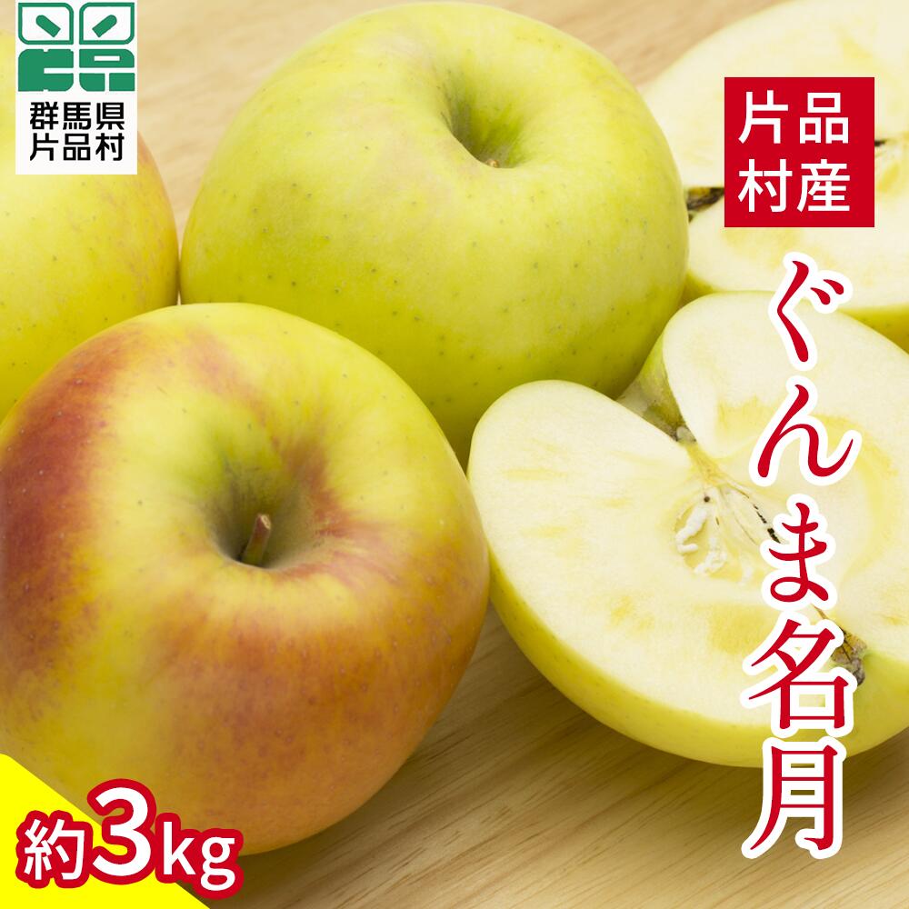 【ふるさと納税】尾瀬の郷 片品村産 ぐんま名月 りんご 約3kg リンゴ 林檎 ふじ
