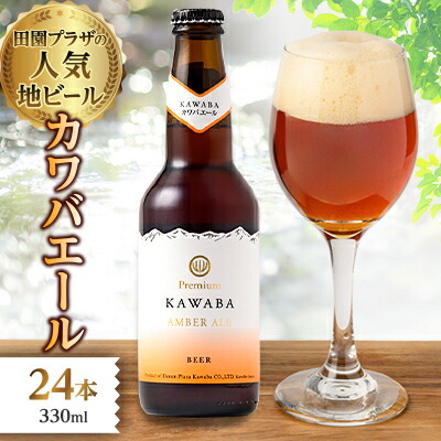 【ふるさと納税】カワバエール　24本セット【1446345】