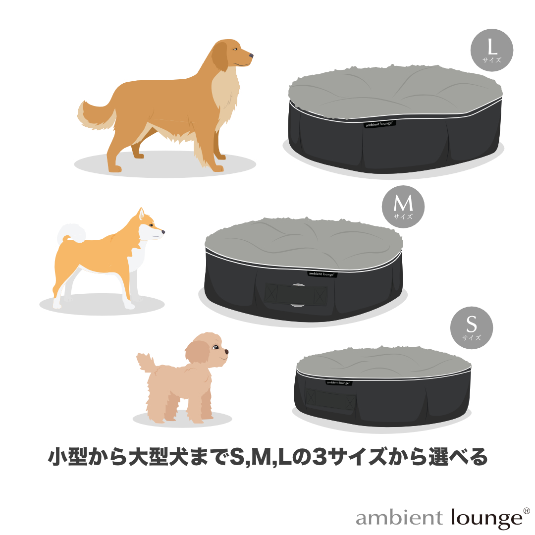 美品】アンビエントラウンジ S ambient lounge プレミアム - novius-it.hu