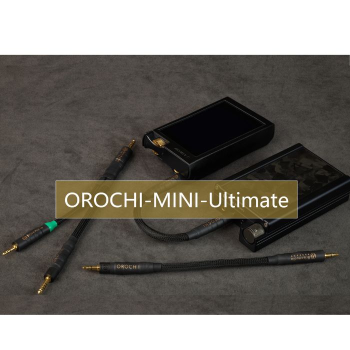 【ふるさと納税】OROCHI-MINI Ultimate 携帯型オーディオ用伝達ルート有線テレビ【ブリスオーディオ】