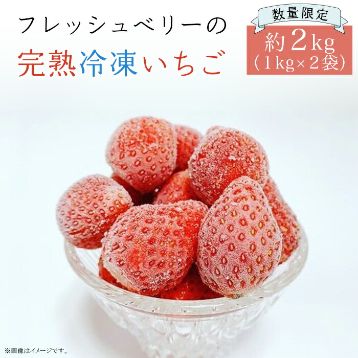 【ふるさと納税】＜数量限定！！＞フレッシュベリーの完熟冷凍いちご！大中小サイズ混合約２kg（１kg×２袋）やよいひめ・かおり野・紅ほっぺ・もういっこ ≪イチゴ 苺 ジャム ヨーグルト おやつ≫